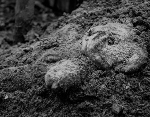 childhood birth defects