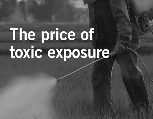 Can Toxic Exposure Cause Birth Defects