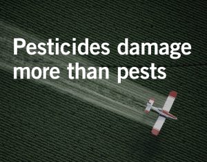 birth defect attorneys