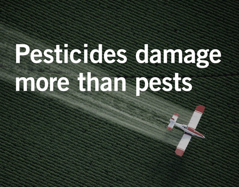 birth defect attorneys