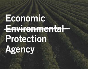 pesticide can cause birth defects