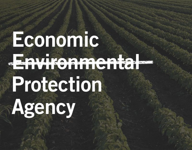 pesticide can cause birth defects