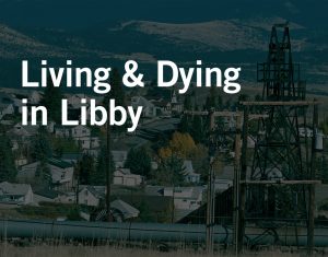 widespread asbestos exposure