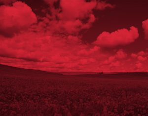 expuestos a sustancias químicas