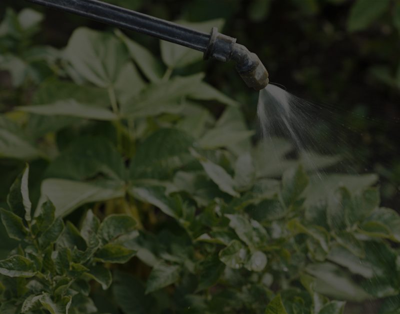 pesticides and birth defects