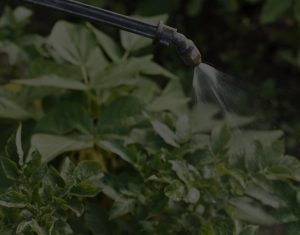 defectos de nacimiento