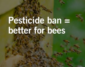 pesticide exposure
