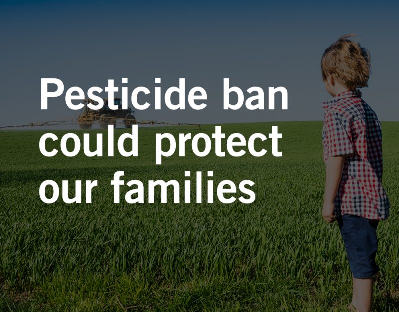 birth defects caused by exposure to chemicals in the workplace