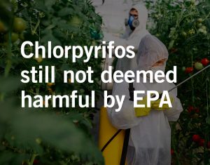 Birth defects due to pesticide exposure