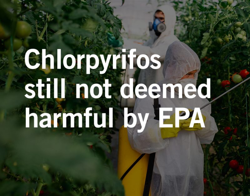 Birth defects due to pesticide exposure